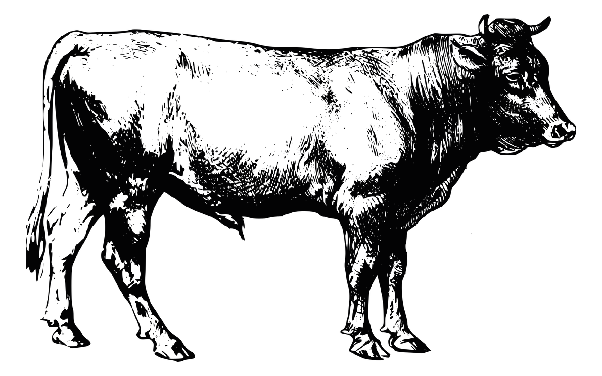 The Bull Inn, West Tanfield – Traditional Country Inn & Pub Restaurant ...